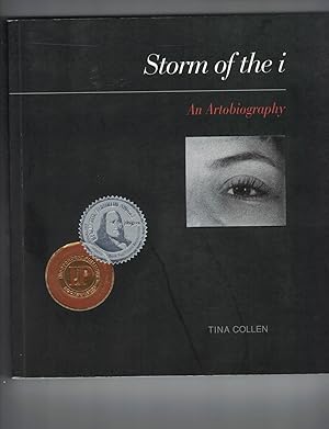 Storm of the i An Artobiography