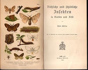 Seller image for Ntzliche und schdliche Insekten in Garten und Feld. for sale by Antiquariat Puderbach