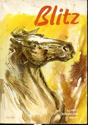 Seller image for Blitz for sale by Librairie Le Nord