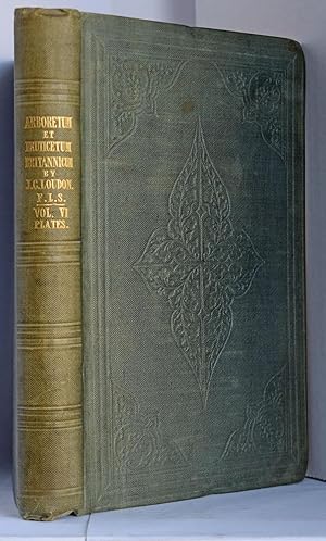 Imagen del vendedor de Arboretum et Fruticetum Britannicum; or, The Trees and Shrubs of Britain. Vol. 6. The Plates from Rosa'ceae to Olea'ceae Inclusive. [Vol. 6 of 8 Vols.] a la venta por J. Patrick McGahern Books Inc. (ABAC)