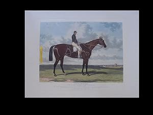 Cotherstone. The winner of the derby stakes at Epsom 1843 / Cotherstone, der Gewinner des Pferder...