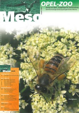 Seller image for Meso (Das Opel-Zoo Magazin 1/2009) for sale by Schueling Buchkurier