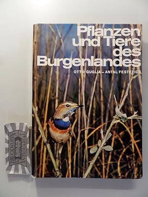 Bild des Verkufers fr Pflanzen und Tiere des Burgenlandes. zum Verkauf von Druckwaren Antiquariat