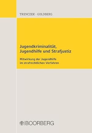 Immagine del venditore per Jugendkriminalitt, Jugendhilfe und Strafjustiz venduto da BuchWeltWeit Ludwig Meier e.K.