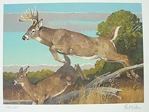 Boone and Crockett Club's 18th Big Game Awards 1980-1982 **SIGNED BY AUTHOR AND ARTIST, W Signed ...
