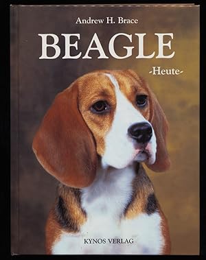 Beagle heute.