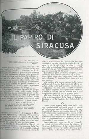 Il papiro di Siracusa.