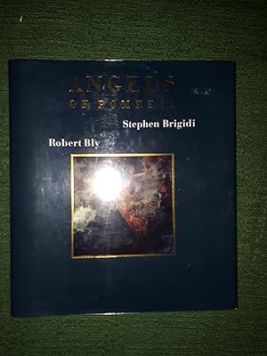 Angels of Pompeii, Photographs by Stephen Brigidi, Poetry by Robert Bly, [When his fascination wi...