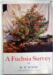 Fuchsia Survey