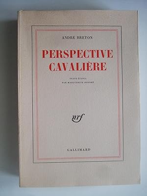 Perspective Cavalière