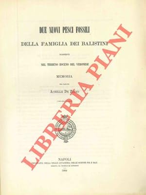 Due nuovi pesci fossili della famiglia dei Balistini nel terreno eoceno del Veronese.