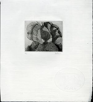 Signed and Numbered Etching on Thick Laid Roma Paper