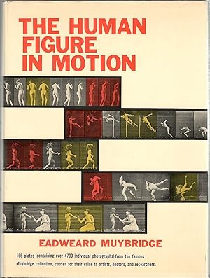 Imagen del vendedor de Human Figure in Motion a la venta por Bauer Rare Books
