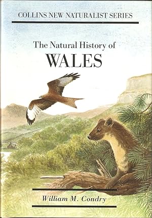 Seller image for THE NATURAL HISTORY OF WALES. By William Condry, M.A., M.Sc. New Naturalist No. 66. Bloomsbury Books Edition. for sale by Coch-y-Bonddu Books Ltd