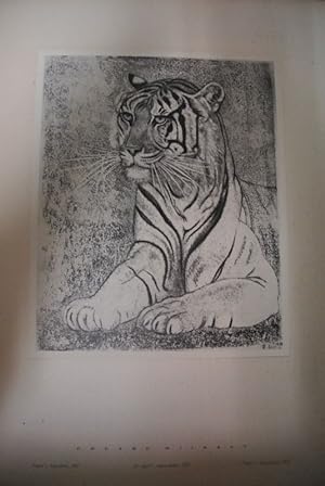 Seller image for Tiger. Reproduktion eines Bildes von Eduard Wiiralt. Aus: Aleksis Rannit: Eduard Wiiralt. for sale by Antiquariat Bookfarm