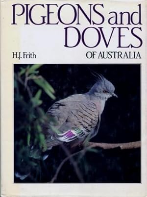 Pigeons and Doves of Australia