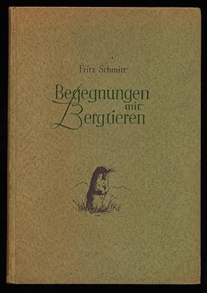 Begegnungen mit Bergtieren.