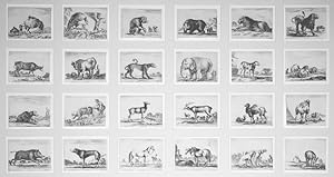 Diversi animali. The complete suite of 24 etchings of mostly mammals drawn from menageries in Par...