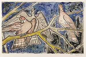 Seller image for Hippold, Erhard. Tauben for sale by GALERIE HIMMEL