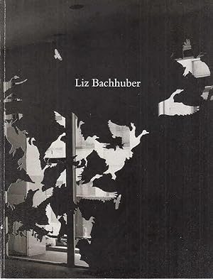 Liz Bachhuber [anlässlich der Ausstellungen Faux Mouvement, Metz, 27 mai - 12 juillet 1992 ; Kuns...