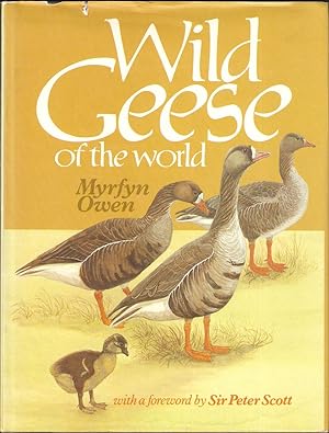 Seller image for WILD GEESE OF THE WORLD: THEIR LIFE HISTORY AND ECOLOGY. By Myrfyn Owen. With a foreword by Sir Peter Scott. for sale by Coch-y-Bonddu Books Ltd