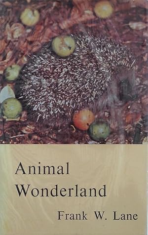 Animal wonderland