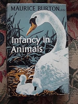 Seller image for Infancy in Animals for sale by Anne Godfrey