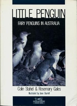 Little Penguin : Fairy Penguins in Australia