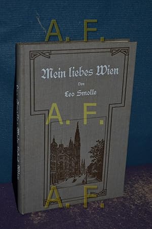 Imagen del vendedor de Mein liebes Wien. Schilderungen und Erzhlungen aus der Kaiserstadt. Mit 20 Originalaufnahmen von Wiener Stadtbildern. a la venta por Antiquarische Fundgrube e.U.