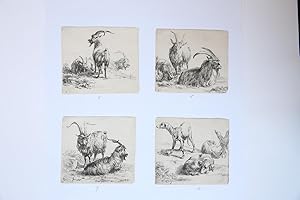 Antique prints, etching | The set of various animals, the "Man's book" (complete set), published ...