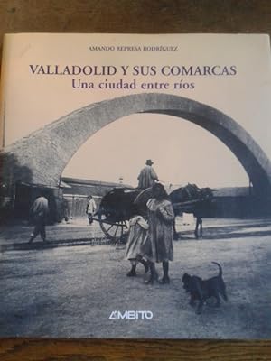 Seller image for VALLADOLID Y SUS COMARCAS for sale by Librera Pramo
