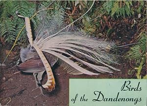 Birds of the Dandenongs : an occurrence record.