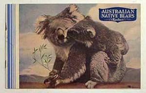 The native bear of Australia, called the koala.