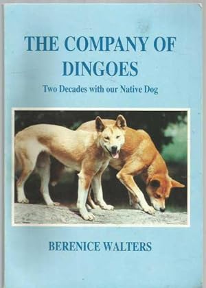 The Company of Dingoes - Two decades with our native dog.