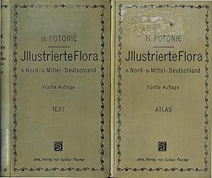 Illustrierte Flora von Nord- und Mittel-Deutschland (Atlas- und Textband 1910)