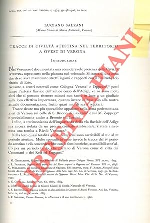 Tracce di Civiltà Atestina nel territorio a ovest di Verona.