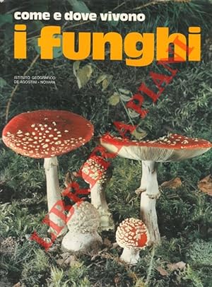 Come e dove vivono i funghi.