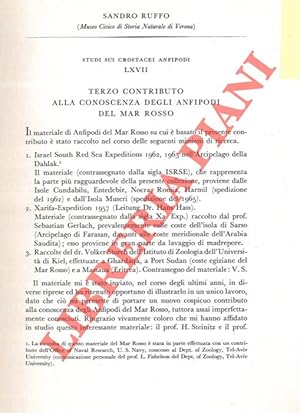 Terzo contributo alla conoscenza degli Anfipodi del Mar Rosso.