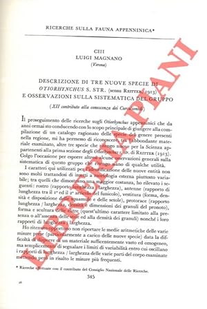 Descrizione di tre nuove specie di Otiorhynchus s. str. (sensu Reitter, 1913) e osservazioni sull...