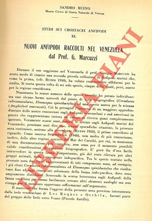 Imagen del vendedor de Nuovi anfipodi raccolti nel Venezuela dal prof. G. Marcuzzi. a la venta por Libreria Piani