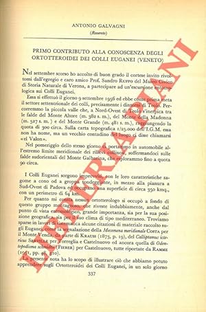 Primo contributo alla conoscenza degli Ortotteroidei dei Colli Euganei (Veneto) .