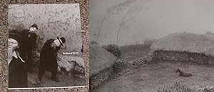 Immagine del venditore per JOHN COHEN: THE SHAPE OF SURVIVAL - Scarce Pristine Copy of The Exhibition Catalog venduto da ModernRare