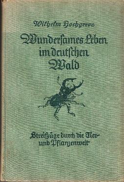 Seller image for Wundersames Leben im Deutschen Wald. Streifzge durch die Tier- und Pflanzenwelt. for sale by Buchversand Joachim Neumann