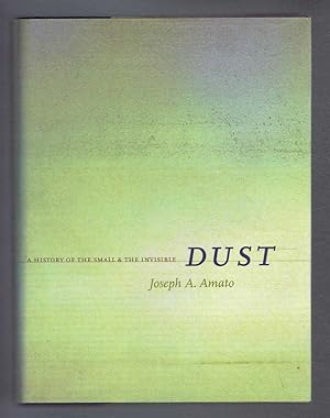 A History of the Small and the Invisible Dust