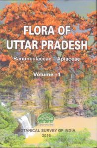 Seller image for Flora of Uttar Pradesh: Vol 1 - Ranunculaceae-Apiaceae for sale by Vedams eBooks (P) Ltd
