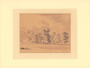 Image du vendeur pour Eichenhain mit Sommerwolken. Sepia- und Tuschezeichnung, teils ber Bleistift laviert, auf Papier. mis en vente par Antiquariat Reinhold Pabel