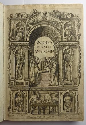 Seller image for ANDREAE VESALII ANATOMIA. Addita nunc postremo etiam Antiquorum anatome. for sale by Libreria BACBUC - Studio bibliografico