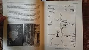 Seller image for Los tlahuicas III. Habitantes de los bosques de Tlahuic. for sale by Librera "Franz Kafka" Mxico.