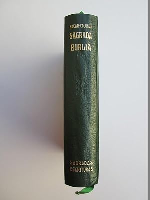 Sagrada Biblia