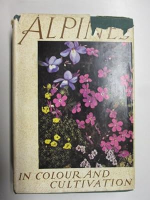 Bild des Verkufers fr Alpines in Colour and Cultivation zum Verkauf von Goldstone Rare Books